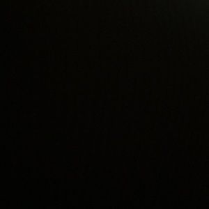 Meet your Posher, Fred